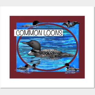 Common Loons Posters and Art